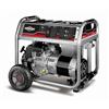 Briggs & Stratton™ 5500 Watt Generator