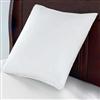 Sears®/MD Euro-style Square Pillow