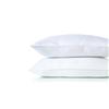 Sears®/MD Standard Snoozer Polyester Cover Pillow