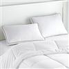 Beautyrest®Simmons® Beautyrest® 'Recharge' Beyond Down Pillow