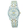 Seiko® Ladies 2-Tone Stainless Steel Dress Watch