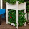 Urbanscape Raised Tomato Planter