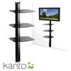 Kanto Wall-mounting Component Shelf System