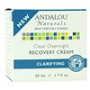 Andalou Naturals Clarifying Clear Overnight Recovery Cream (131500)