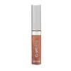 CoverGirl WetSlicks Lip Gloss- Honey Talks 318