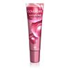 CoverGirl WetSlicks Fruit Spritzers Lip Gloss- Plum Splash 550