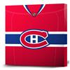Montreal Canadiens Jersey Premium Canvas Art (NHL16201012J1D) - Dark