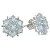 Amour Blue Topaz Flower Stud Earrings (750086409)