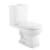 Glacier Bay Galla 2 Piece Dual Flush All-In-One Toilet