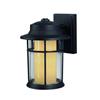 Canarm Ltd. Charlotte 11.5 Inch Outdoor Black Lantern, Clear/Flat Opal Glass