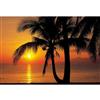 Komar 12 Feet 1 Inches x 8 Feet 4 Inches Palmy Beach Sunrise Wall Mural