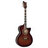 LTD Acoustic Guitar (AC-20EFM) - Dark Brown