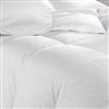 Sears®/MD Goose Down Duvet