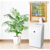 Eurodib by Chigo® 9,000 BTU Portable Air Conditioner